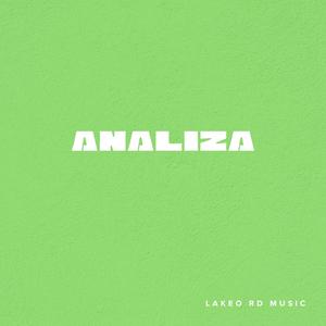 Analiza