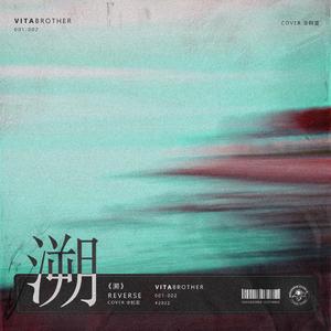 李阿亚 - 溯 (VitaBrother Bootleg)