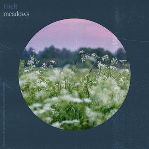 Meadows