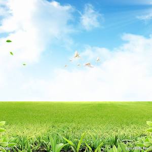 让我来到你面前