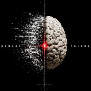 Damage Schema