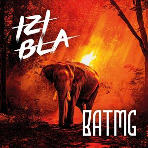 Tant pis pour les dégâts (feat. Bulldozer and the machine guns, Rubeus, Max Montagne & Na THC)