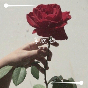 喜欢你
