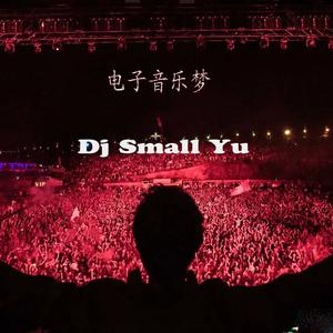 DjsmallYu - Deep In Love（SmallYu Mashup）