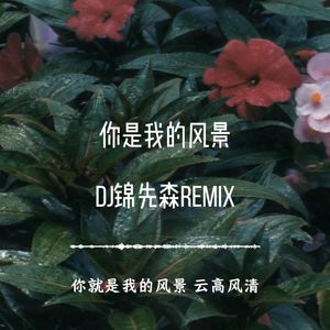 你是我的风景