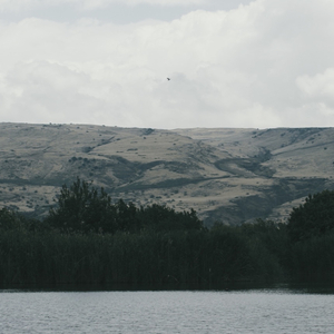 Не востаннє (акустика)