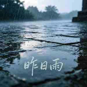 昨日雨
