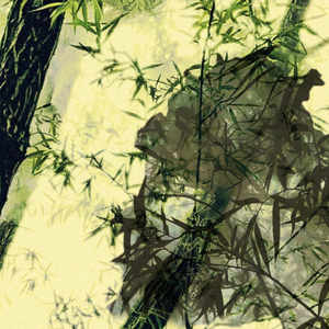 竹影（prod.by jeston）