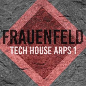 Techhouse Arp 125bpm 10