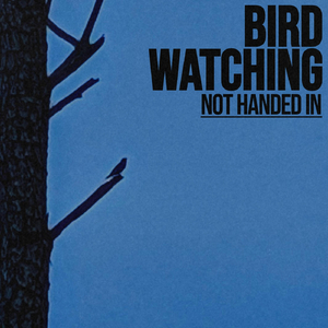 Birdwatching