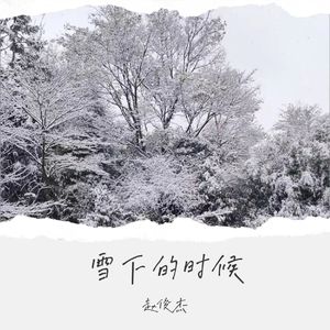 雪下的时候