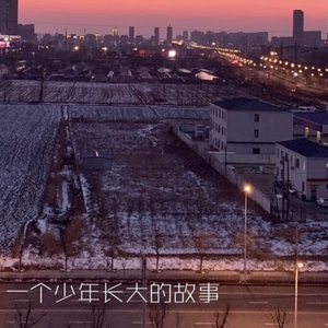 一个少年长大的故事