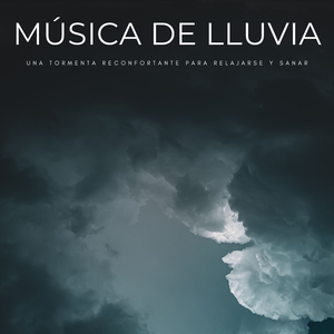 Una Noche De Lluvia Y Relajación