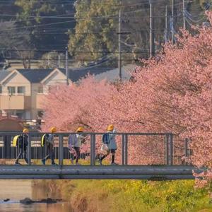 狼狈（Cover 康姆士COM'Z）