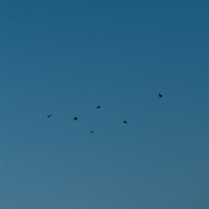 Distance (frank ocean,kanye west,张方钊,type beat)