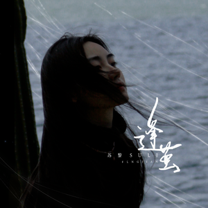 逢茧（无损版）