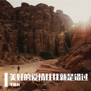 美好的爱情往往就是错过 伴奏