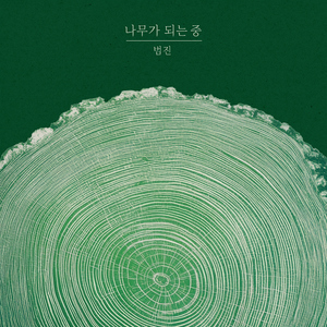 나무가 되는 중