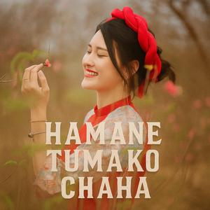 Hamane tumako chaha