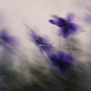 d'inverno le viole
