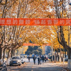 免费低保真王者雪梨随后便以音乐