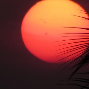 最害怕没有你的夜