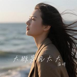 大概是风太大