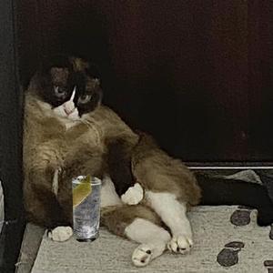 啦哩邋遢（cover孙盛希）