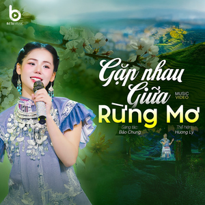 Gặp Nhau Giữa Rừng Mơ