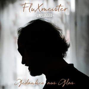 Tumult in meinem Kopf (Unplugged)