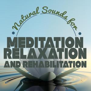 Life in the Wilderness