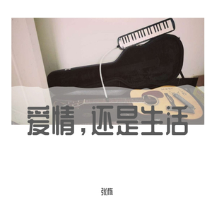 爱情，还是生活（Demo）