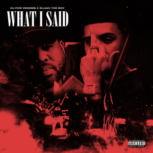 What I Said (Radio Edit)