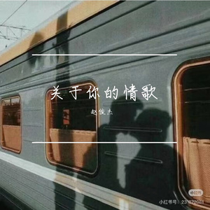 关于你的情歌