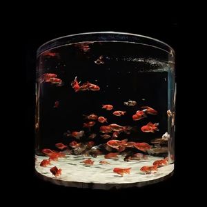 憧憬过(Prod.Siren & EVOMUSIC)