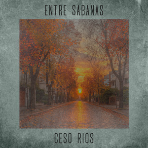 Entre Sábanas