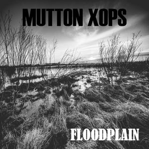 Floodplain
