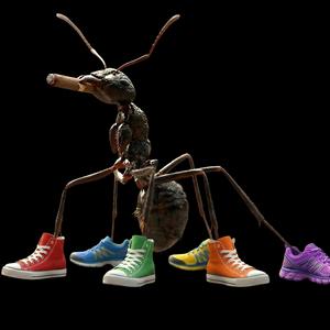 disco ant (microhouse)