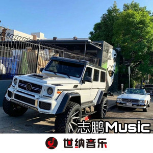 Why Would Ever (Remix)