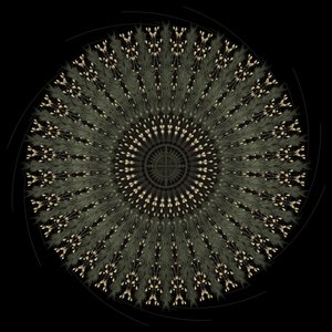 Touching Earth, Touching Heart