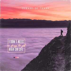 I Don't Need No Drugs to Get High on Life