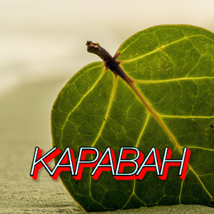 КАРАВАН
