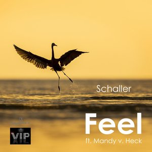 Feel (ft. Mandy v. Heck) (Original mix)