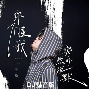 你不懂我突然的沉默 (DJ魅音版)