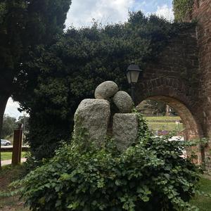 N22