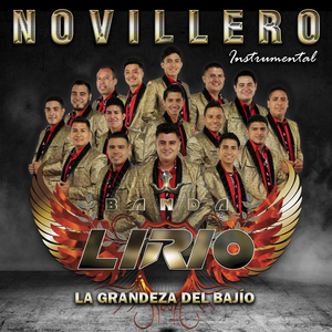 Novillero (Instrumental)