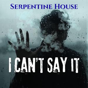 I Can't Say It