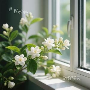 窗台的茉莉花