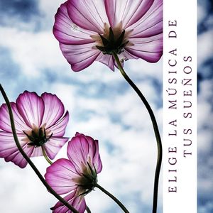 La Mejor Preparación para la Meditación