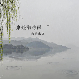 东钱湖的雨